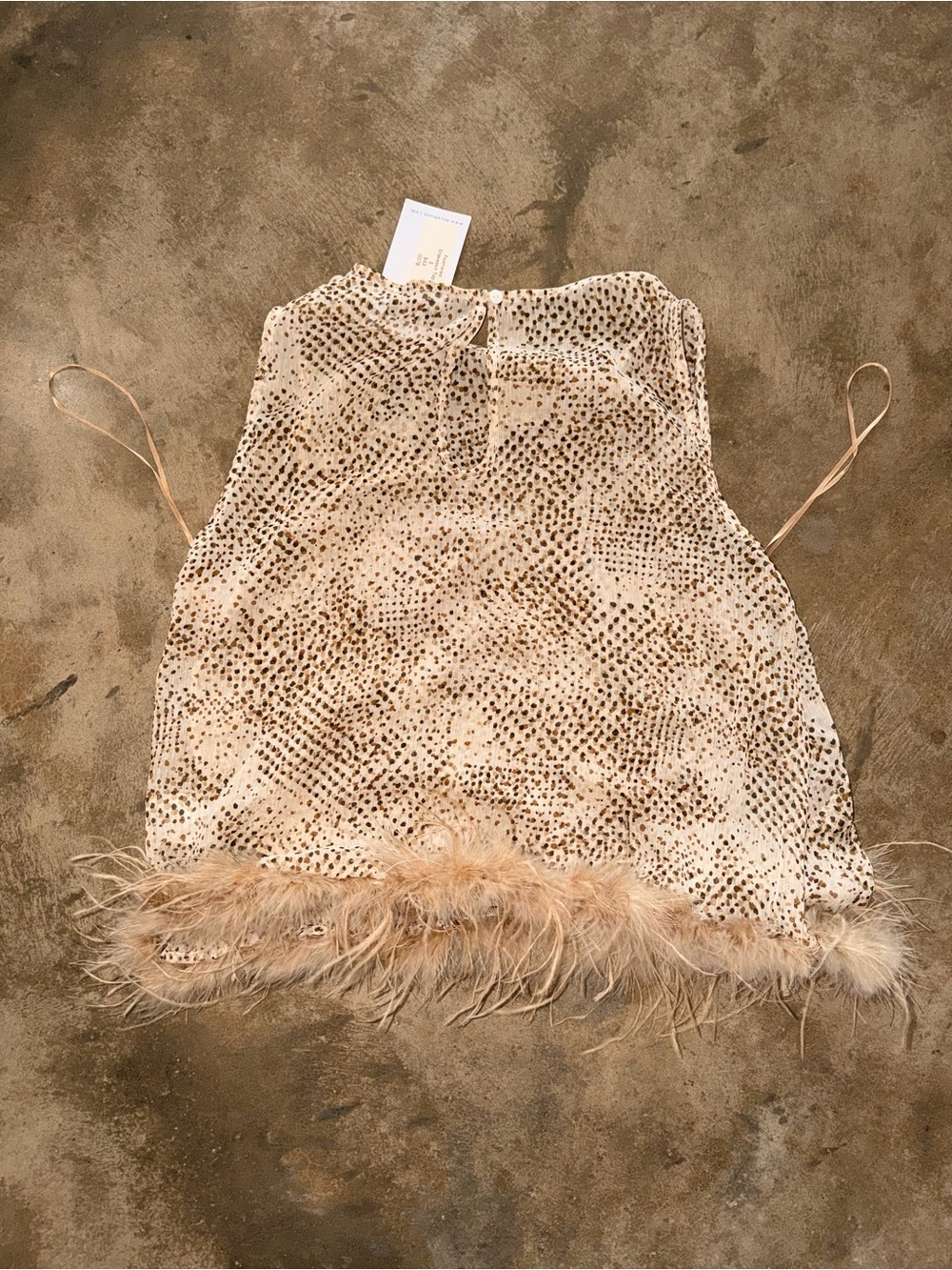 Blue B Feather Trim Speckled Sheer Crop Top NWT Small Statement Piece - Picture 2 of 7